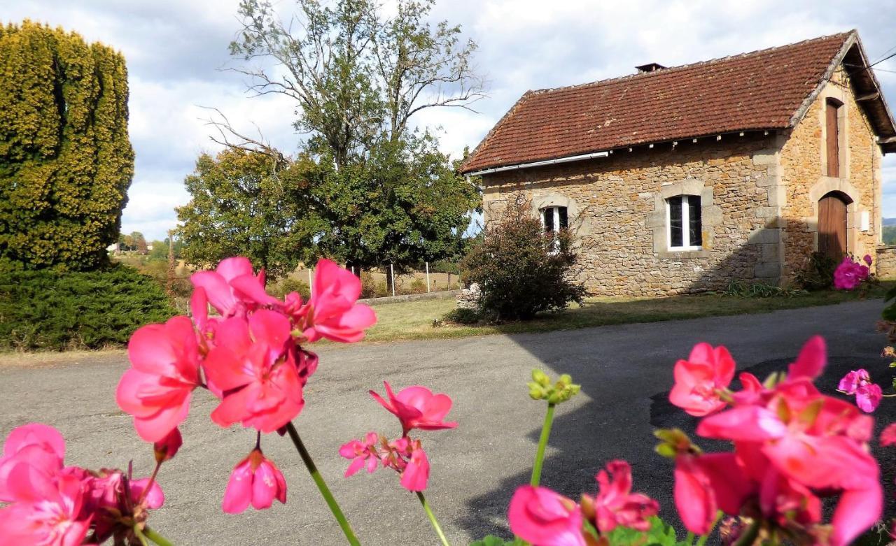 Les Hauts De Malirat Capdenac-Gare Exteriér fotografie